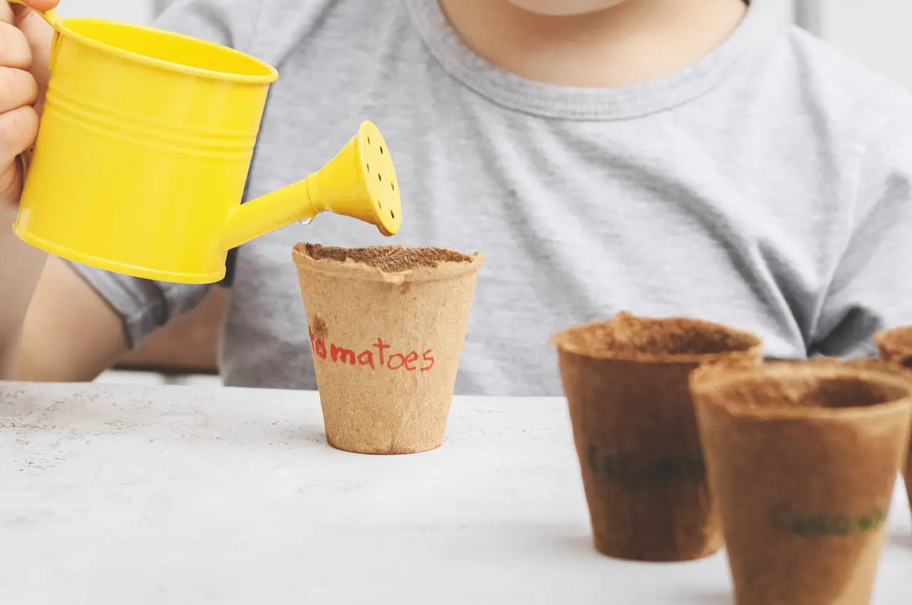 How Much Water Should I Give My Seeds?